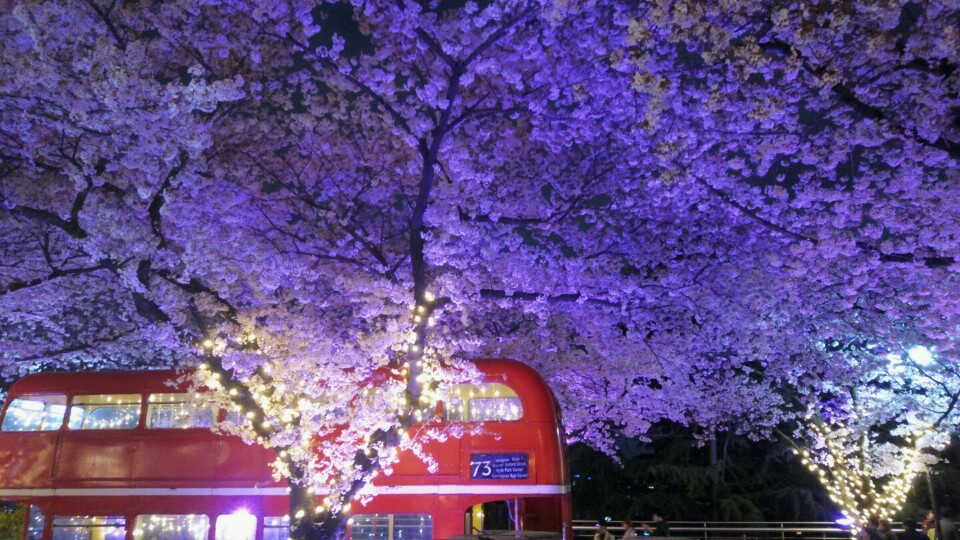 KakaoTalk_20170411_080729469.jpg