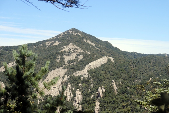 _MG_7820.jpg