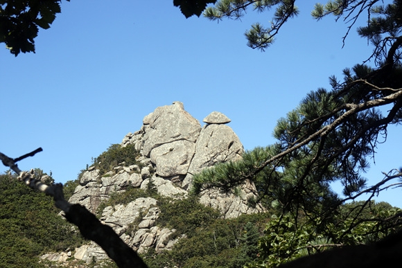 _MG_7859.jpg