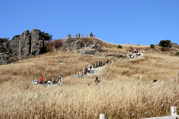 _MG_8388.jpg