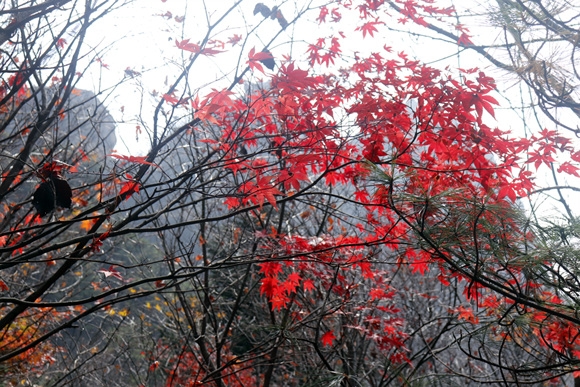 _MG_8570.jpg