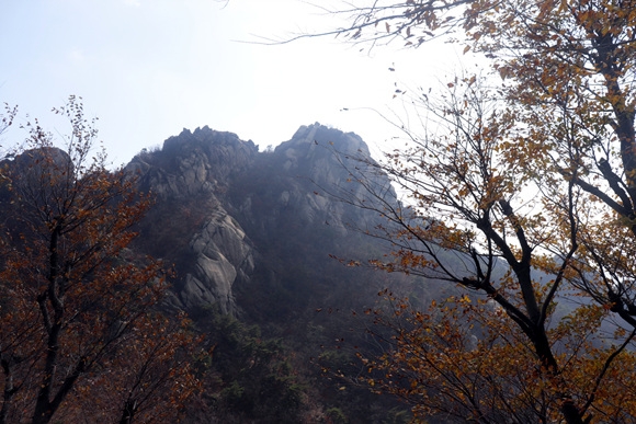 _MG_8564.jpg