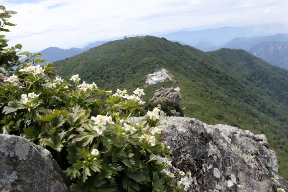 _MG_2962.jpg