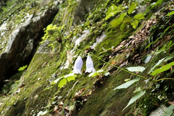 _MG_2995.jpg