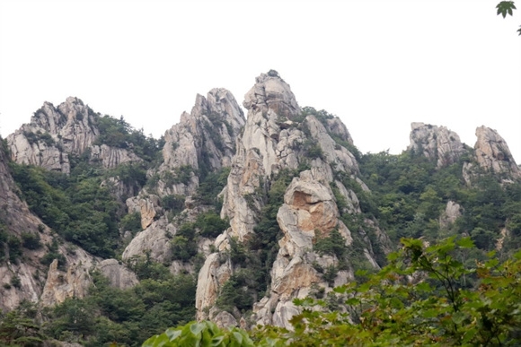 _MG_3061.jpg