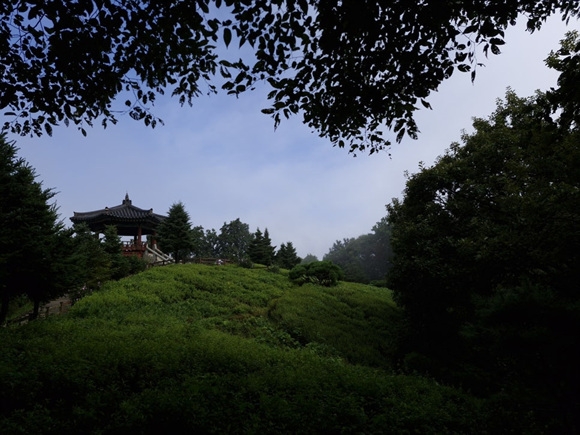 KakaoTalk_20250913_114216430_13.jpg