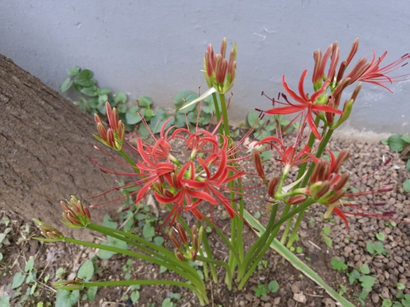 20250919_065313.jpg